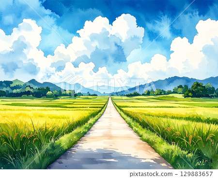 Summer rice fields and summer clouds 129883657