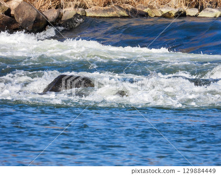 河川湍急 129884449