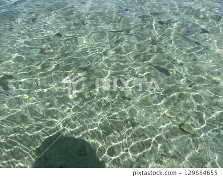 陽光明媚的日子關島的大海和魚 陽光明媚的日子關島的大海和魚 129884655
