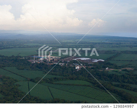 Factory processing sugar cane plant 129884997