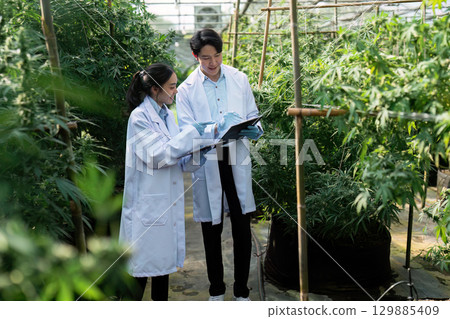 Scientists Analyzing Plant Growth in a Greenhouse Environment for Agricultural Research and Development 129885409