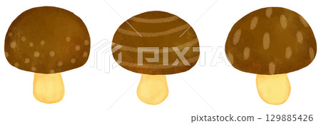 棕色蘑菇插圖集，小 129885426