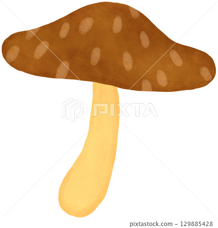Large brown umbrella mushroom illustration Large brown umbrella mushroom illustration 129885428