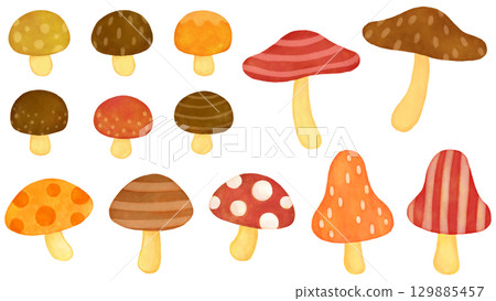 圖案蘑菇插圖集 129885457