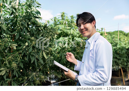 Smiling Scientist Examining Cannabis Plants in Outdoor Farm with Clipboard Under Clear Blue Sky 129885494