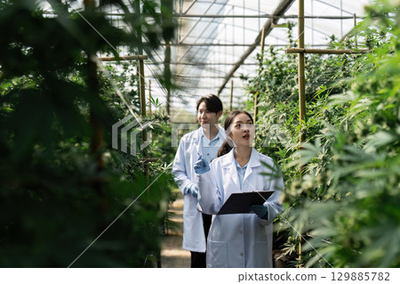Scientists Conducting Research in a Greenhouse Filled with Lush Green Plants and Modern Agricultural Technology 129885782