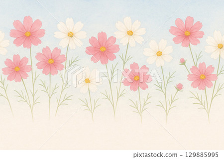 Autumn flower series: Japanese-style background of cosmos swaying in the sky 129885995