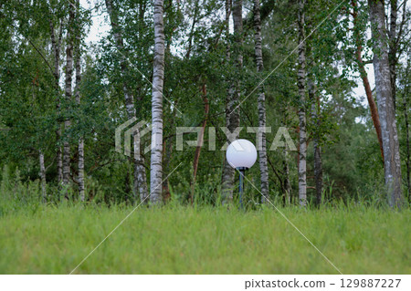 White lamp stands in a green field surrounded by birch trees in a tranquil natural setting during late afternoon 129887227