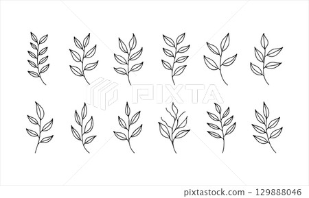 Leaf illustrations showcasing various plant designs on a minimalist white background created for artistic inspiration 129888046