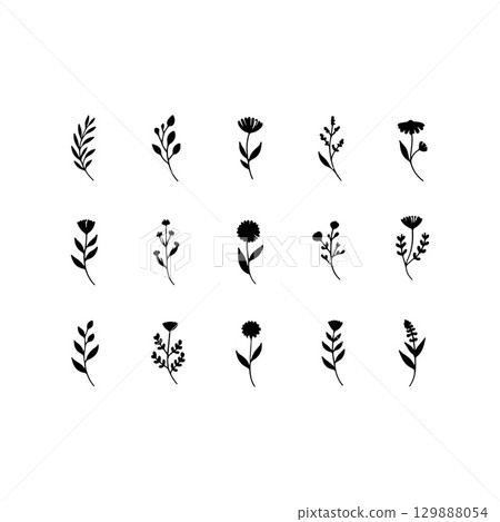 Delicate Line Botanicals. Fine-line botanical illustrations with small leaves and rounded blossoms for elegant natural compositions. 129888054