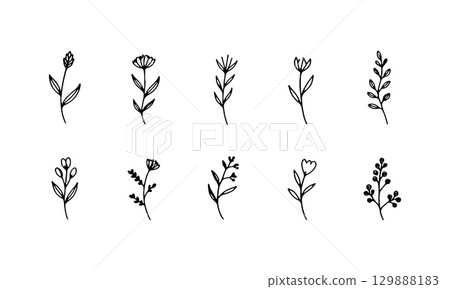 Simplified Botanical Sprigs. Simplified floral sprigs with oval petals and minimal hand-drawn elegance in black and white. Simplified Botanical Sprigs. Simplified floral sprigs with oval petals and minimal hand-drawn elegance in black and white. 129888183