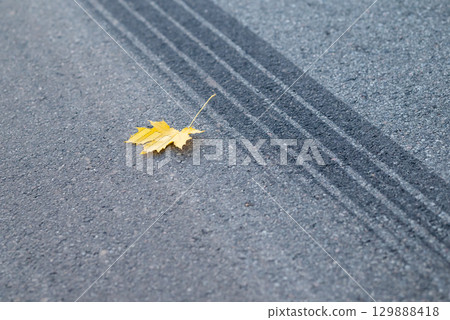 Braking car trace with yellow maple leaf on the road. Emergency braking at autumn season, dangerous slippery road during fall rains Braking car trace with yellow maple leaf on the road. Emergency braking at autumn season, dangerous slippery road during fall rains 129888418