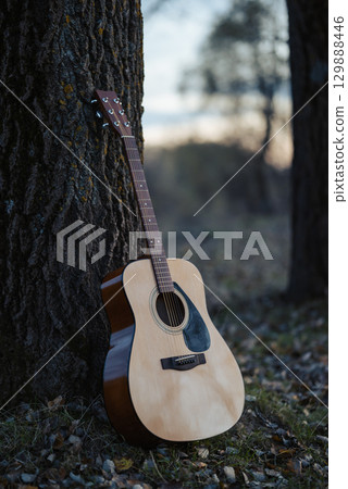 Classical acoustic guitar leaning against tree. New guitar in autumn forest in the evening Classical acoustic guitar leaning against tree. New guitar in autumn forest in the evening 129888446