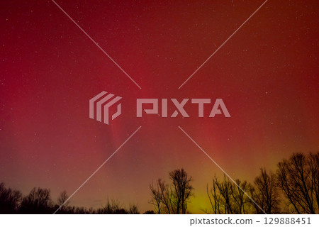 Starry sky with bright aurora lights. Vivid red northern lights in the sky 129888451