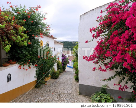 奧比都斯美麗的城鎮景觀:白牆房屋和鮮花(葡萄牙) 奧比都斯美麗的城鎮景觀:白牆房屋和鮮花(葡萄牙) 129891501