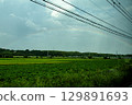 Sky and rainbow reflected in the rice fields 129891693