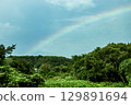 A beautiful rainbow over the forest 129891694