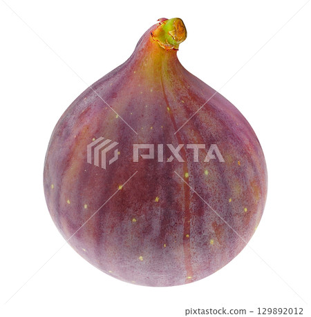 One fresh fig fruit isolated on white background One fresh fig fruit isolated on white background 129892012