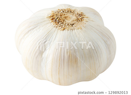 One isolated head of garlic One isolated head of garlic 129892013