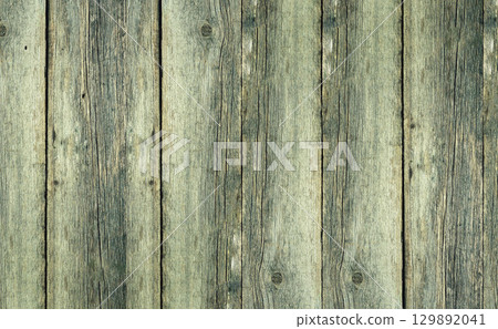 Wooden texture from old pine boards, full frame 129892041