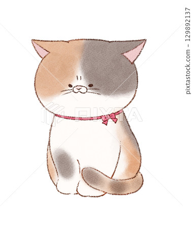 脾氣暴躁的三色貓 129892137