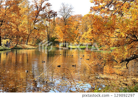 Golden autumn season in Russia, background.Autumn park in October on a sunny day, lake with red maple leaves and oaks. Beautiful bright natural landscape in the park, seasons,, invitation for a walk, Golden autumn season in Russia, background.Autumn park in October on a sunny day, lake with red maple leaves and oaks. Beautiful bright natural landscape in the park, seasons,, invitation for a walk, 129892297