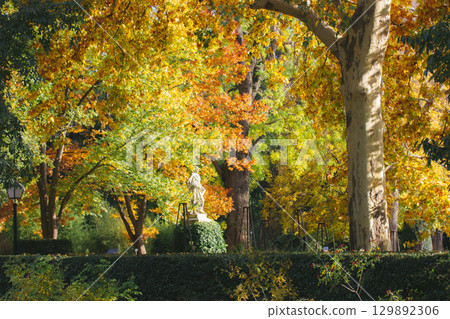 Autumnal parkland scene with a statue and colorful trees in sunlight A serene autumn park scene featuring colorful trees, a statue, and a lush green hedge under sunlight. Fall season. Colourful trees. 129892306
