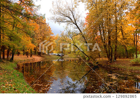 October autumn park in Russia, lake with red leaves and reflection in the lake, Aleksandrovsky park, Tsarskoe Selo, Leningrad region. Autumn landscape, seasons. October autumn park in Russia, lake with red leaves and reflection in the lake, Aleksandrovsky park, Tsarskoe Selo, Leningrad region. Autumn landscape, seasons. 129892865