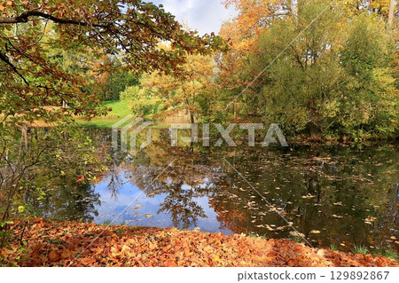 October autumn park in Russia, lake with red leaves and reflection in the lake, Aleksandrovsky park, Tsarskoe Selo, Leningrad region. Autumn landscape, seasons. October autumn park in Russia, lake with red leaves and reflection in the lake, Aleksandrovsky park, Tsarskoe Selo, Leningrad region. Autumn landscape, seasons. 129892867