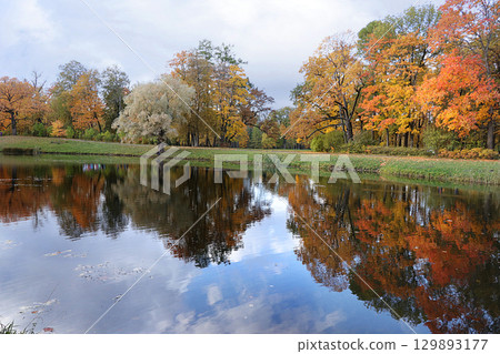 October autumn park in Russia, trees with yellow leaves and reflection in the lake, Alexander Park, Leningrad Region. Beautiful autumn landscape in the park, seasons, travel through beautiful forests 129893177