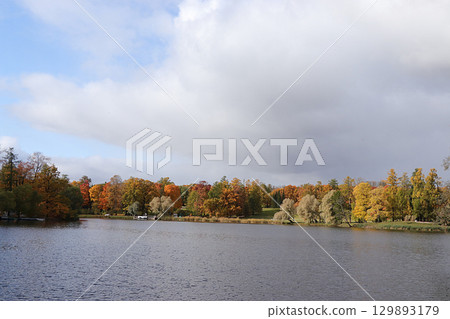 October autumn park in Russia, trees with yellow leaves and reflection in the lake, Catherine Park, Leningrad region. Beautiful autumn landscape in the park, seasons, travel through beautiful forests October autumn park in Russia, trees with yellow leaves and reflection in the lake, Catherine Park, Leningrad region. Beautiful autumn landscape in the park, seasons, travel through beautiful forests 129893179