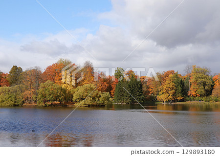 October autumn park in Russia, trees with yellow leaves and reflection in the lake, Catherine Park, Leningrad region. Beautiful autumn landscape in the park, seasons, travel through beautiful forests October autumn park in Russia, trees with yellow leaves and reflection in the lake, Catherine Park, Leningrad region. Beautiful autumn landscape in the park, seasons, travel through beautiful forests 129893180