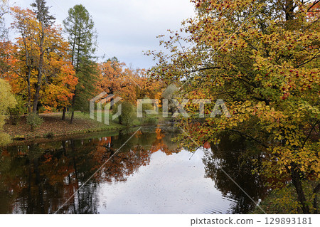 October autumn park in Russia, trees with yellow leaves and reflection in the lake, Alexander Park, Leningrad Region. Beautiful autumn landscape in the park, seasons, travel through beautiful forests October autumn park in Russia, trees with yellow leaves and reflection in the lake, Alexander Park, Leningrad Region. Beautiful autumn landscape in the park, seasons, travel through beautiful forests 129893181