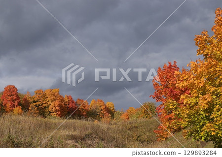 Autumn park in September on a rainy day, path with red maple leaves and dark clouds, background. Beautiful bright natural landscape in the park, seasons, golden autumn season, invitation for a walk, Autumn park in September on a rainy day, path with red maple leaves and dark clouds, background. Beautiful bright natural landscape in the park, seasons, golden autumn season, invitation for a walk, 129893284