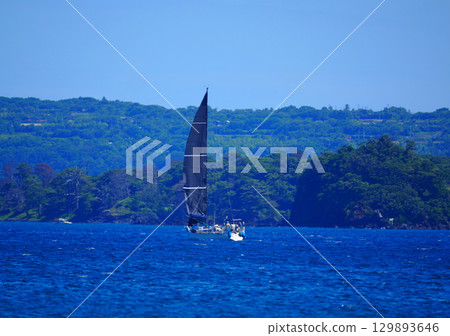 沿著菊濱海灘航行的遊艇 129893646