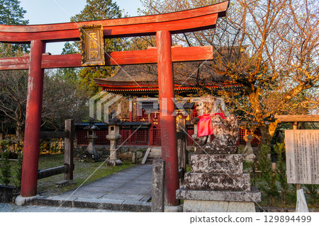 Morning at Kinpusenji Temple - Yoshino Morning at Kinpusenji Temple - Yoshino 129894499