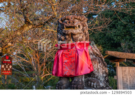 Morning at Kinpusenji Temple - Yoshino Morning at Kinpusenji Temple - Yoshino 129894503
