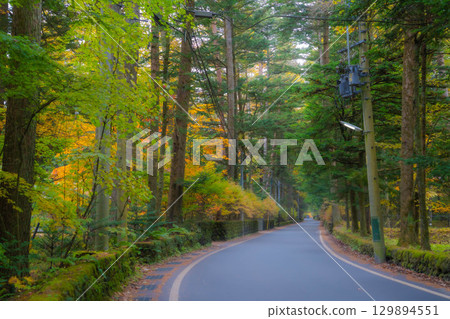 [Autumn Material] Karuizawa scenery shrouded in mist during the autumn foliage season [Nagano Prefecture] 129894551