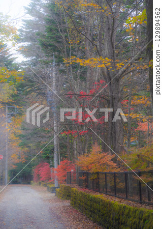 【秋色素材】紅葉季節，輕井澤霧氣繚繞的景色【長野縣】 129894562