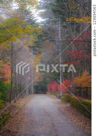 [Autumn Material] Karuizawa scenery shrouded in mist during the autumn foliage season [Nagano Prefecture] 129894563