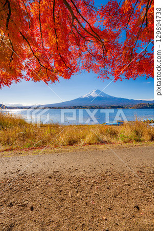[富士山素材]秋天從河口湖看到的白雪皚皚的富士山和紅葉[山梨縣] 129894738