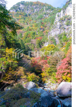 [紅葉素材]昇仙峽的象徵－覺園坊的紅葉【山梨縣】 129894831