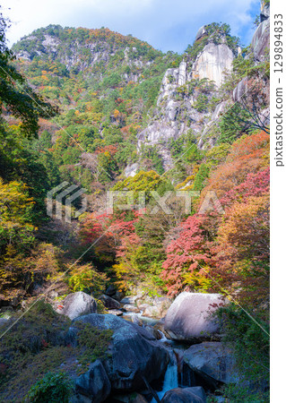 [Autumn leaves] Autumn leaves of Kakuenbo, the symbol of Shosenkyo [Yamanashi Prefecture] 129894833