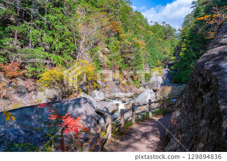 [紅葉素材]昇仙峽的象徵－覺園坊的紅葉【山梨縣】 129894836