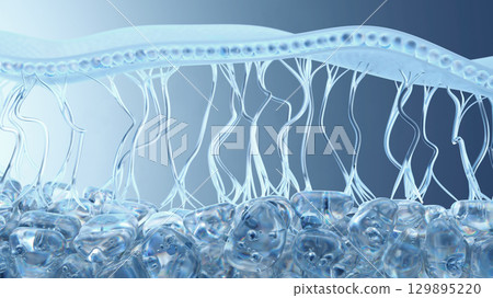 Illustration of Biological Cells and Structures in High Detailed View Illustration of Biological Cells and Structures in High Detailed View 129895220