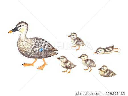 kalgamo的父母和孩子 129895483