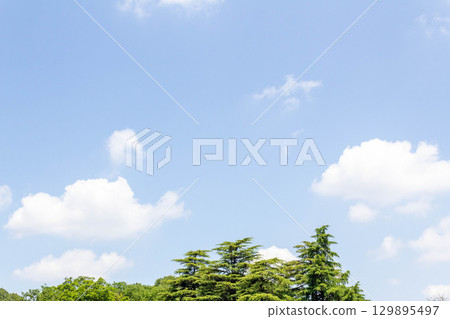 May sky in Chofu City, Tokyo (May 13, 2025) May sky in Chofu City, Tokyo (May 13, 2025) 129895497