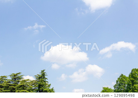 May sky in Chofu City, Tokyo (May 13, 2025) 129895498