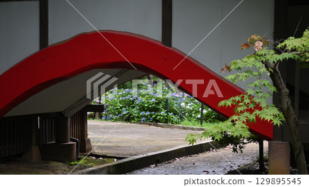 Temple grounds passage 129895545