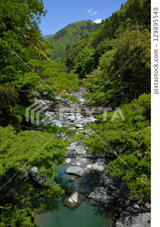 德島縣三好市西谷山村祖谷葛橋 129895549